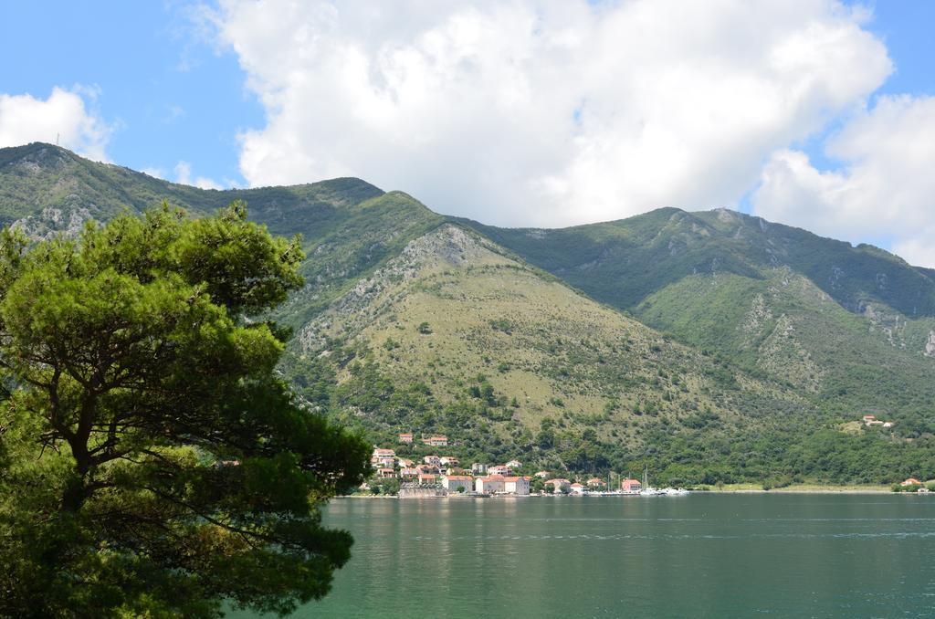 Apartment Ivanisevic 2 Kotor Ngoại thất bức ảnh